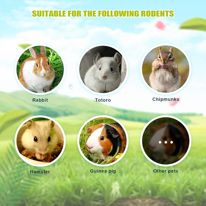 8 Pcs Small Animals Play Balls Rolling Activity Chew Toys Gnawing Treats for Rabbits Guinea Pigs Chinchilla Bunny Natural Balls, Pet Cage Entertainment Accessories (8Pcs)