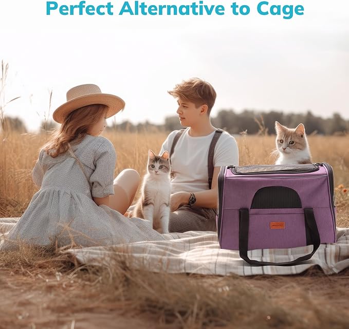 Morpilot Cat Carrier - Soft Sided Cat Carrier Large for Big Medium Cats and Puppy up to 18lbs, Pet Carrier with Safety Zippers, Foldable Bowl, Airline Approved Large Dog Carrier - Purple