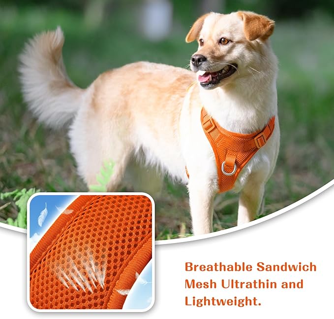 No Pull Dog Harness for Small Medium Large Dogs - Adjustable Two-Layer Mesh Dog Vest with Dual Clip, Escape Proof, Quick Release, Lightweight Breathable Mesh for Walking Hiking (Orange,M)