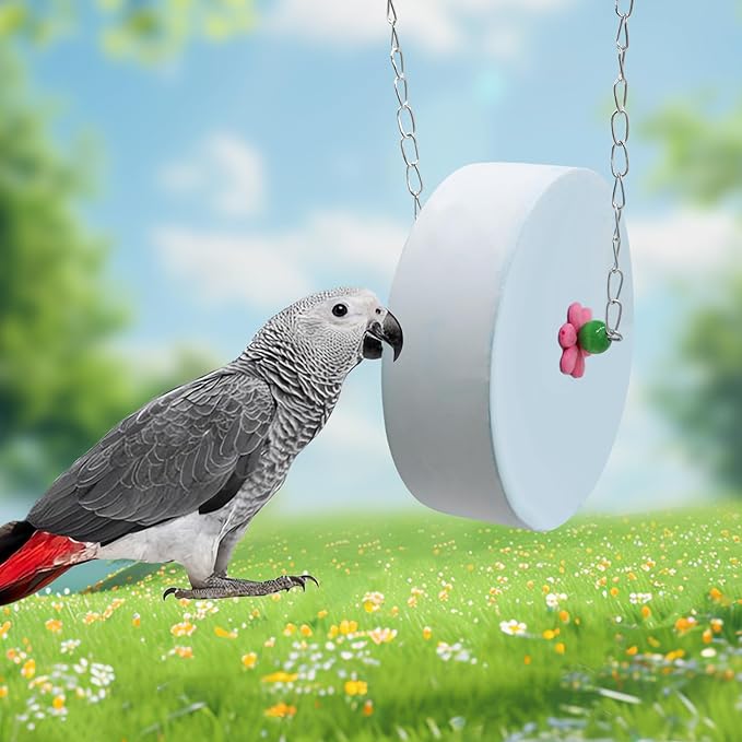 Bird Beak Grinding Stone – Large Blue Cylinder Parrot Chew Toy with Metal Hanging Chain – Cage Accessory for Macaws, African Greys, Cockatiels & Medium to Large Birds