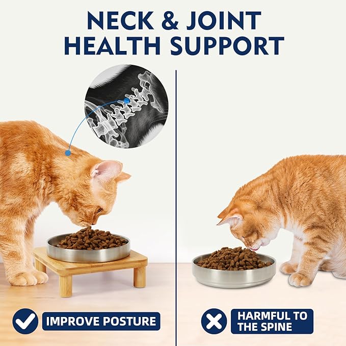 Elevated Cat Bowls for Indoor Cats – Raised Bamboo Cat Bowl Stand with 5.5" Wide Stainless Steel Dishes, Pet Food Table Plate for Easy Feeding, Whisker Friendly (Silver,Set of 2)