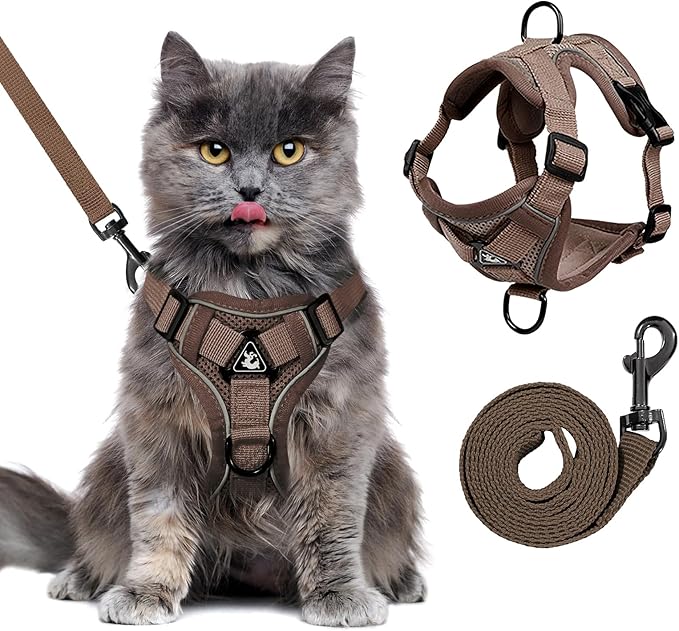 Escape Proof Kitten Harness and Leash Set - Adjustable Soft Mesh Vest for Small Cats, Reflective Breathable Walking Harness with 4 Buckles