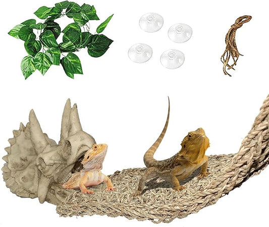 PINVNBY Reptile Dinosaur Skull Decor,Bearded Dragon Tank Accessories,Reptiles Resin Triceratops Skull Cave Lizard Hammock Amphibians Habitat Hideouts Decorations for Lizards Spider Gecko Chameleon