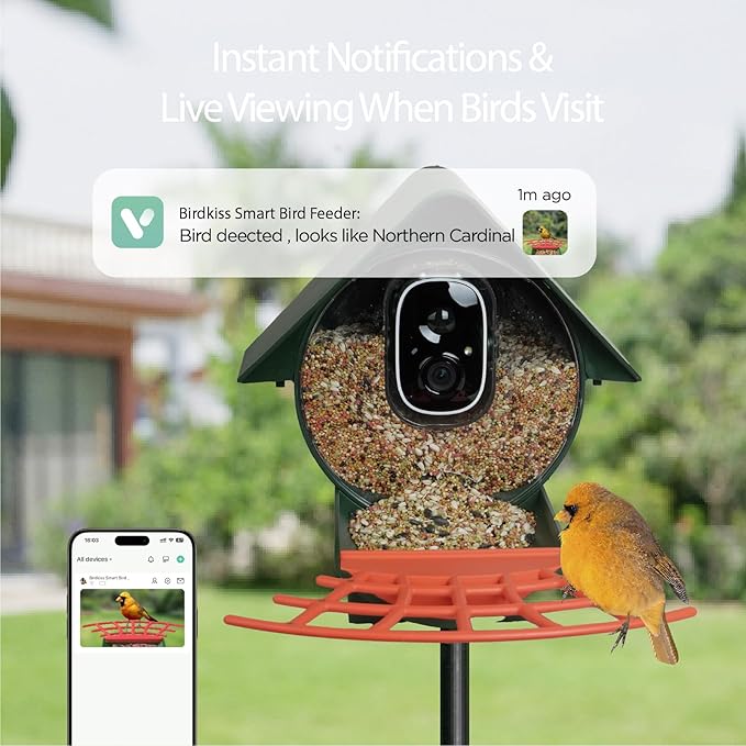 Birdkiss Smart Bird Feeder with Camera Solar Powered, AI Auto Capture Bird Videos & Motion Detection, Bird Watching Camera Notify in Time, Wireless Camera Ideal Present for Bird Lover (Olive Green)