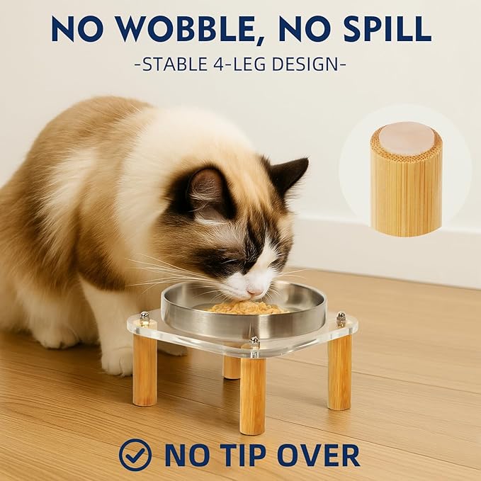 Elevated Cat Bowls for Indoor Cats – Raised Acrylic Cat Bowl Stand with 5.5 Inch Wide Stainless Steel Dishes, Pet Food Table Plate for Easy Feeding, Whisker Friendly(Silver,Set of 2)