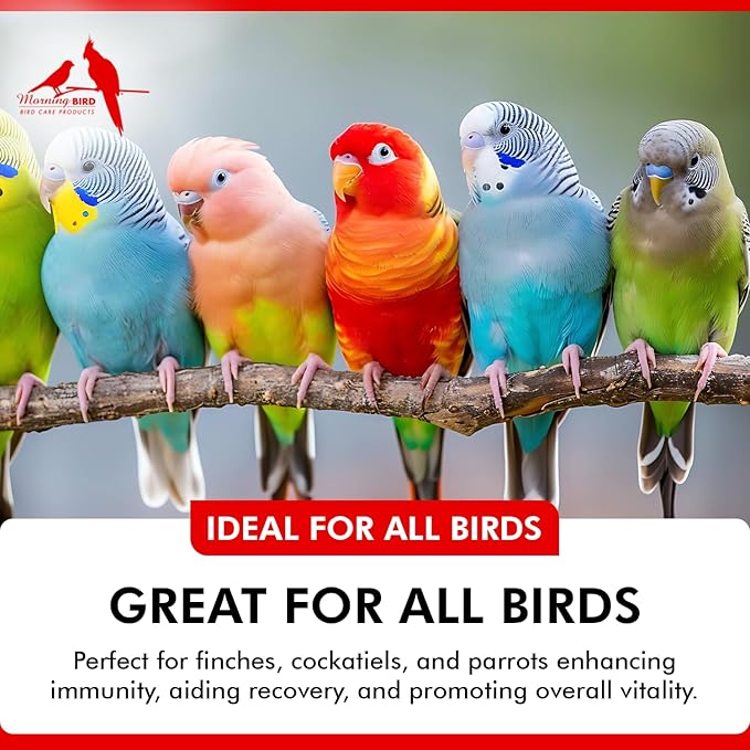 Morning Bird Spirulina, Supplement for Caged Birds, Organic Bird Food Supplement with Vitamins, Proteins, and Amino Acids for Parakeets, Cockatiels, Budgies, Finches, Canaries, and Parrots, 16 oz