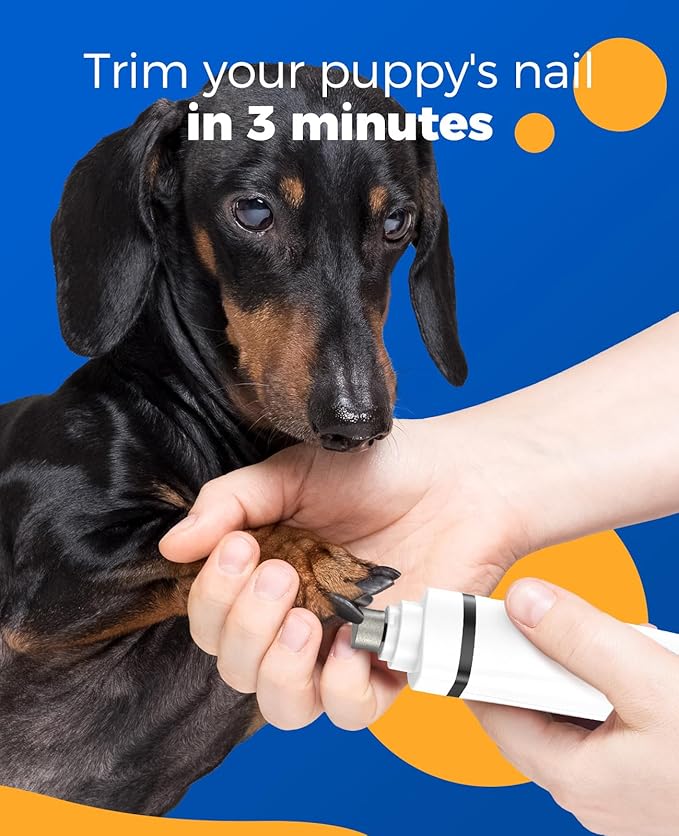 oneisall 4-in-1 Cordless Dog Grooming Kit with 2-Speed Clippers, Low Noise Paw Trimmer & Rechargeable Quiet Nail Grinder for Dogs and Cats (White)