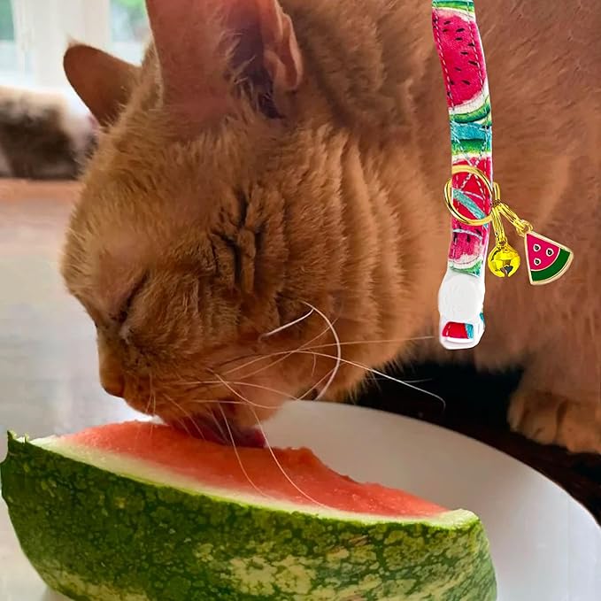 2 Pack Cotton Breakaway Cat Collars Set with Bell and Flower Pendant, Cute Floral Fruit Patterned, Adjustable 7.5-11Inch, Include A Mouse Toy Gift (Watermelon Blueberry)