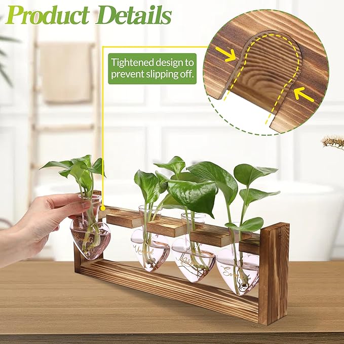 Plants Propagation Stations Plant Terrarium Kit for Bathroom Glass Planters for Indoor Plants Bathroom Decor Accessories - Relax Soak Unwind Breathe