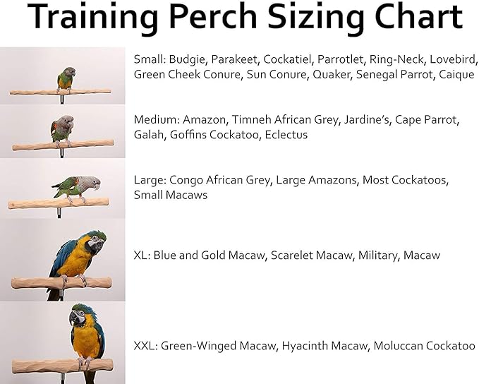 Parrot Training Perch Stand with Potty Tray (T Perch Hardwood, Small)