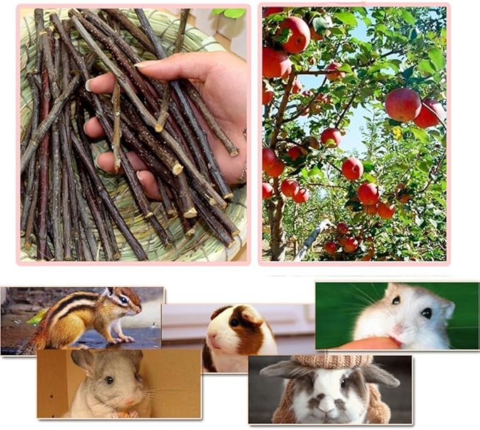 sharllen 400g (14.10oz) Natural Apple Sticks Wood Tree Branches Pet Snacks Chew Toys for Rabbit Hamsters Guinea Pig Chinchillas Squirrel and Other Small Animals by