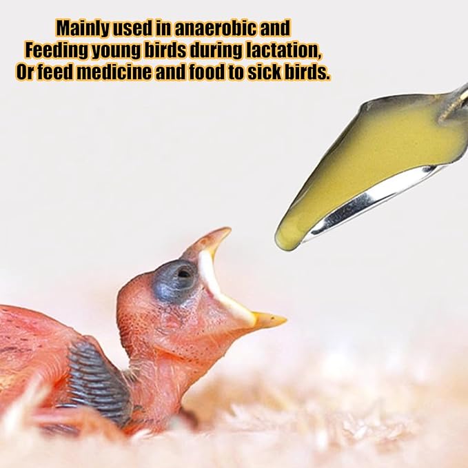 Baby Bird Feeding Syringe Set, Pet Parrot Milk Feeding Syringe with Tubes, Parrot Feeding Tubes Measuring Tools for Feeding Pets Scientific Industrial Labs… (20ml + 2 spoons)