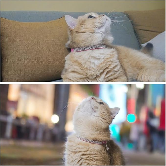 Rhinestone Cat Collar Breakaway with Bell Safety Buckle, Adjustable Diamond Girl Boy Kitty Cute Comfy Collar for Kitten Tiny Little Pets Rabbits, 6"-9" Purple Extra Small