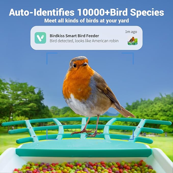 Birdkiss Smart Bird Feeder Camera with Solar Panel - AI Identifies Bird Species, Auto Captures Videos & App Notifications, Includes 32GB SD Card