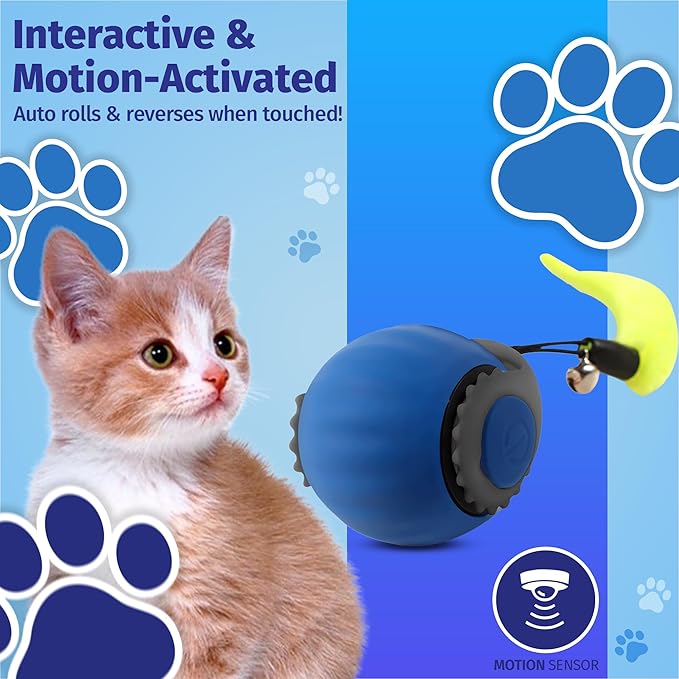 Speedy Tail 2.0 Cat Toy, Interactive Cat Toys for Indoor, Automatic Moving Kitten Rolling Ball with Tail, Rechargeable & Two Speed Adjustment, Smart Interactive Dog Ball, Rollie Pet Chase, Blue