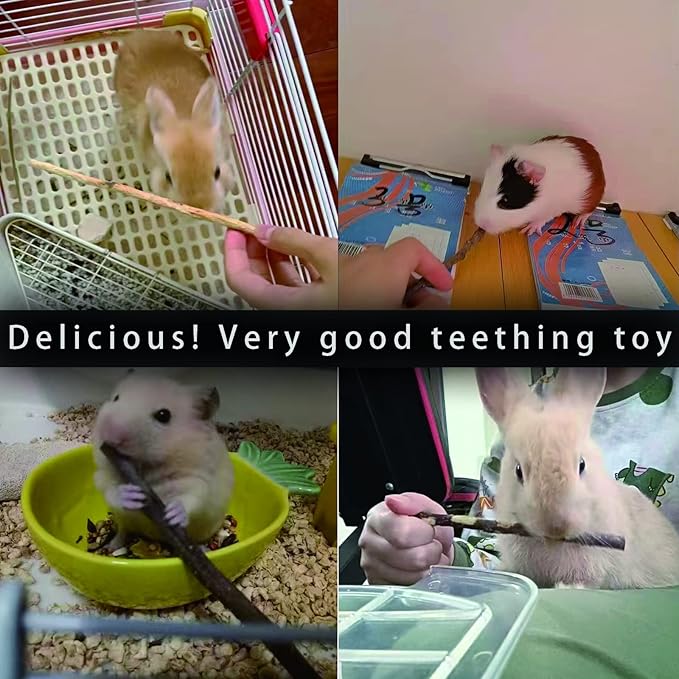 Natural Apple Sticks, 100g Treats Food for Small Animals, Chew Toys for Chinchilla Guinea Pigs Rabbit Squirrel Hamster Bunny (100g)