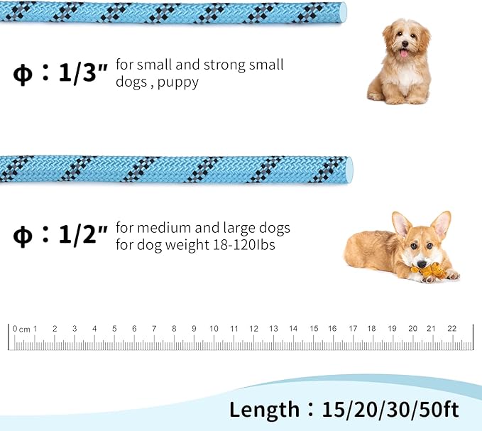 Long Dog Leash for Training 15Ft-Reflective Nylon Rope with Swivel Hook-Recall Agility Lead for Large Small Medium Dogs Outside Walking Hiking-Sky Blue Diam 1/2"