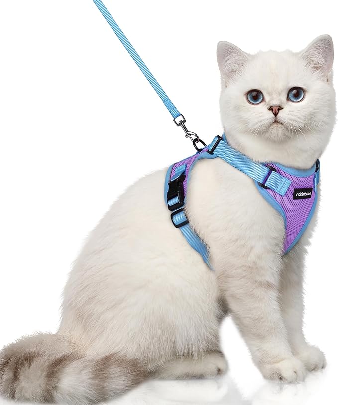 rabbitgoo Cat Harness and Leash Set, Escape Proof Soft Adjustable Vest Harnesses for Outdoor Walking, Easy Control Breathable Kitten Jacket with Reflective Strips, Purple & Blue, XS