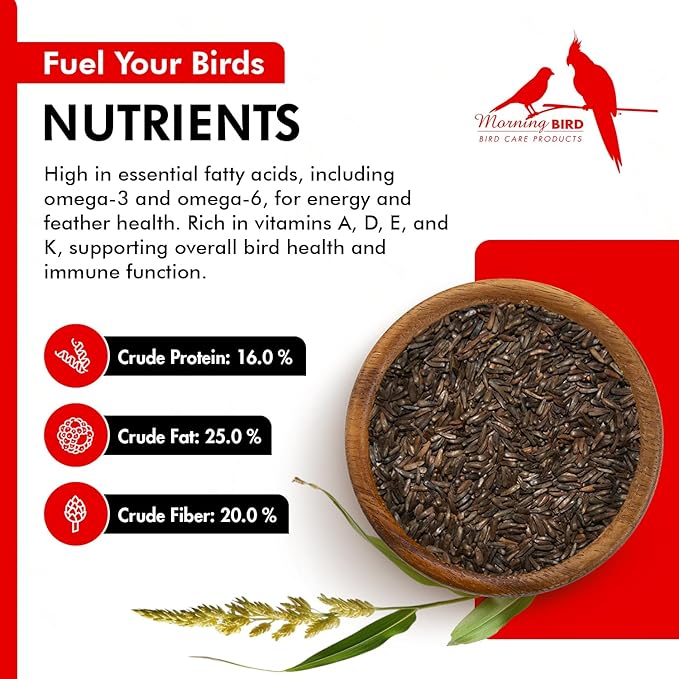 Morning Bird Nyjer Seed for Birds 4.5 lbs (3-Pack, 1.5 lbs Each)– Energizing Nutrition with Rich in Vitamins and Supplements – Ideal Bird Food for Breeding & Molting – Finch Seed for All Birds