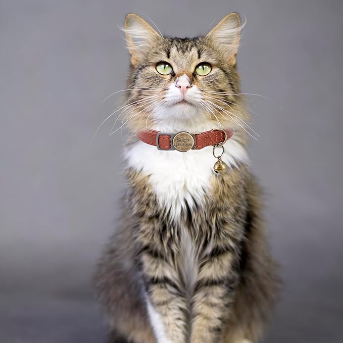 Cat Collar Breakaway, Personalized Leather Cat Collar with Bells-Adjustable Customized Collar with Name & Phone Number Tag for Girl Boy Cats -Quick Release Buckle for Cats & Kittens(Brown)