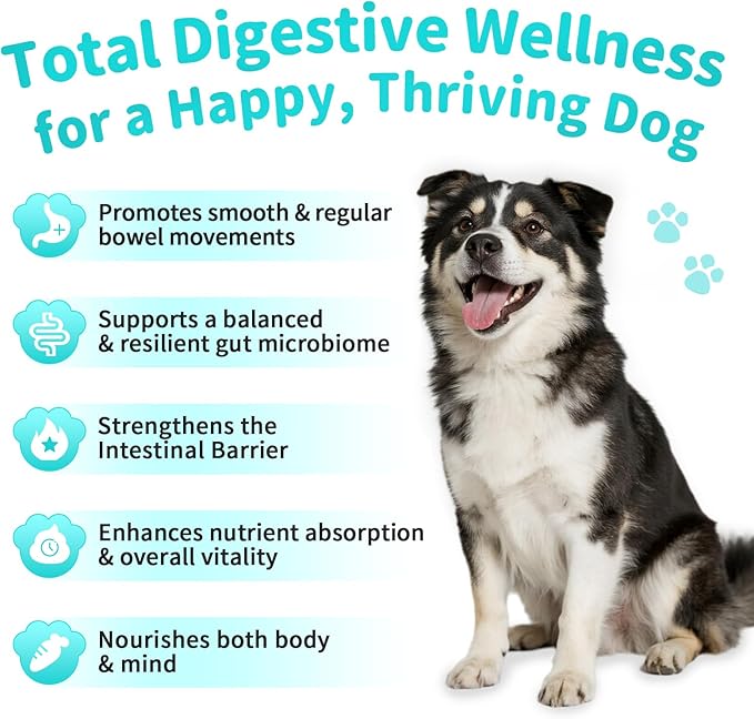 Probiotics for Dogs, Digestive Enzymes for Gut Health Support, Dog Fiber Supplement with Pumpkin for Diarrhea & Bowel Support, Upset Stomach & Gas Relief, Constipation - 60 Count Chicken Flavor