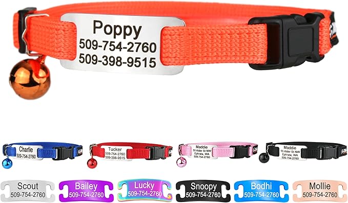 GoTags Personalized Cat Collars with Tag, Engraved Custom Cat Collar with Name and Phone, Breakaway Collar with Safety Buckle and Bell, Adjustable for Cats and Kitten (Orange with Nameplate)
