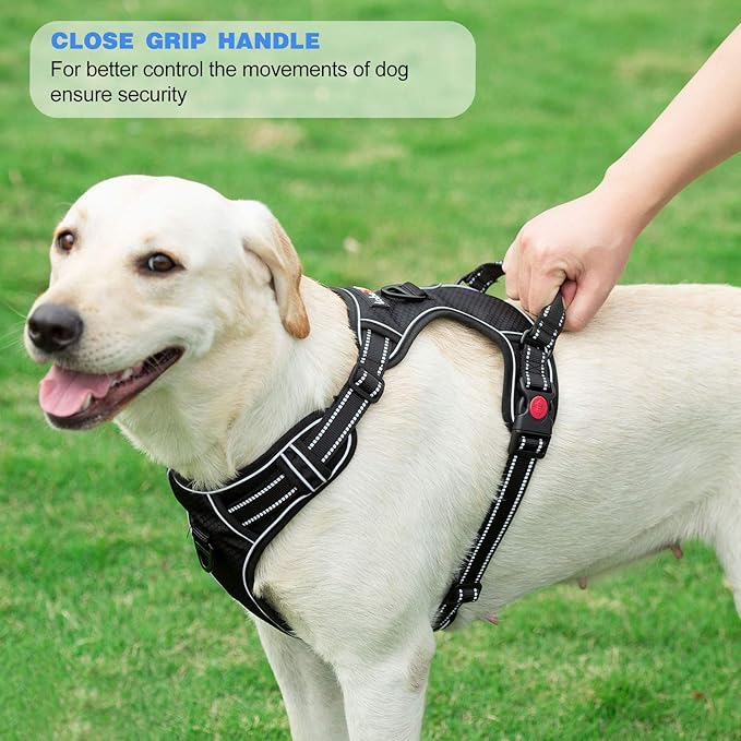 No Pull Dog Harness Adjustable Reflective Oxford Easy Control Medium Large Dog Harness with A Free Heavy Duty 5ft Dog Leash (XL (Neck: 21.5"-33", Chest: 30"-39.5"), Black Harness+Leash)