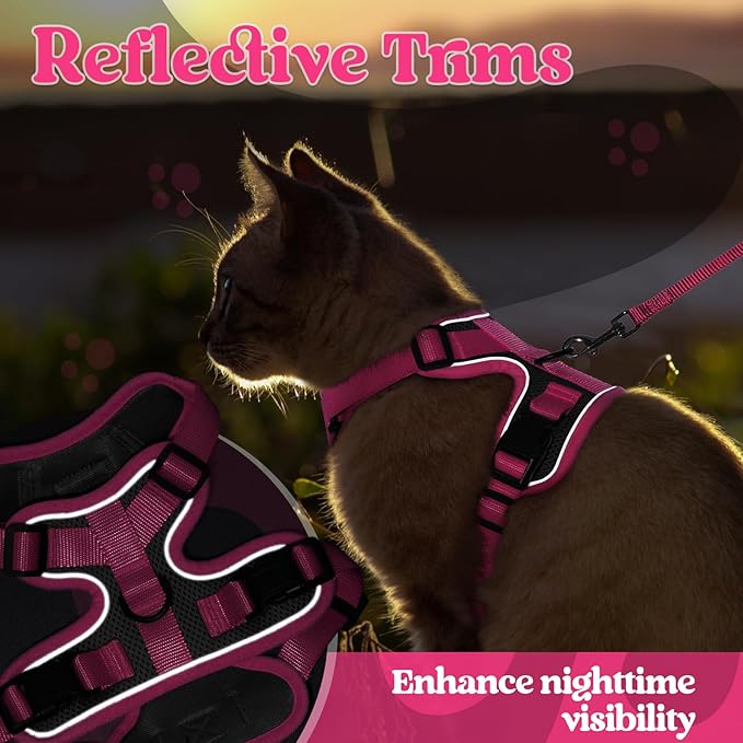 rabbitgoo Cat Harness and Leash Set, Escape Proof Soft Adjustable Vest Harnesses for Outdoor Walking, Easy Control Breathable Kitten Jacket with Reflective Strips, Black & Rose Pink, XS