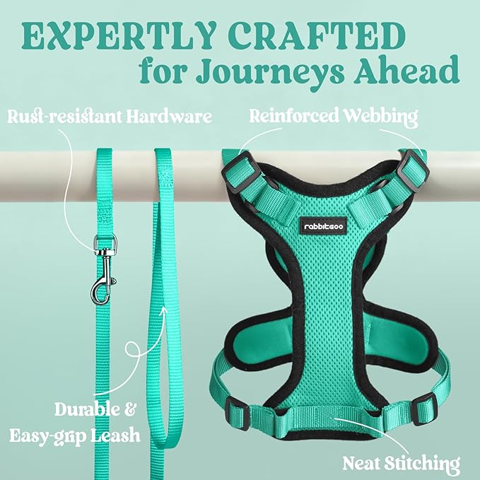 rabbitgoo Cat Harness and Leash for Walking, Escape Proof Soft Adjustable Vest Harnesses for Cats, Easy Control Breathable Reflective Strips Jacket, Emerald, XS