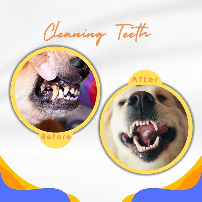 Tough Dog Toys for Aggressive Chewers & Teething Puppies, Bouncy Balls for Medium Dogs, Durable Pet Toys, Floating Dog Balls for Water Play (Orange-Blue)