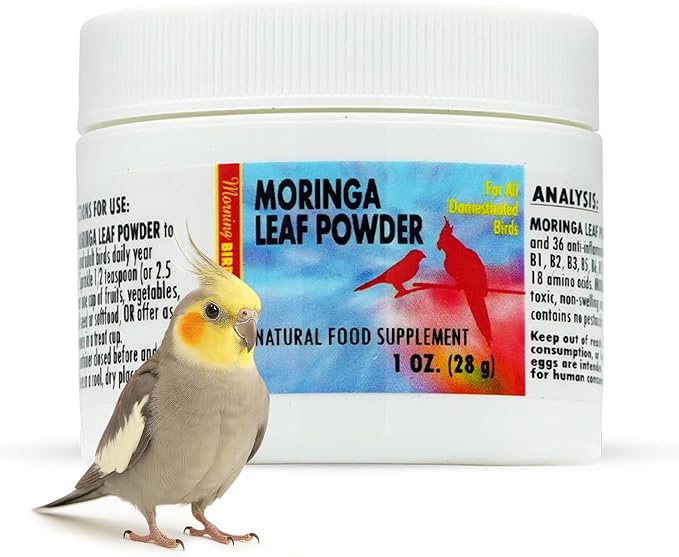 Morning Bird Moringa Leaf Powder 1 oz – Natural Food Supplement for Birds, Rich in Vitamins & Minerals, Boosts Immune System & Energy, Supports Healthy Feathers, Digestion, and Overall Avian Wellness