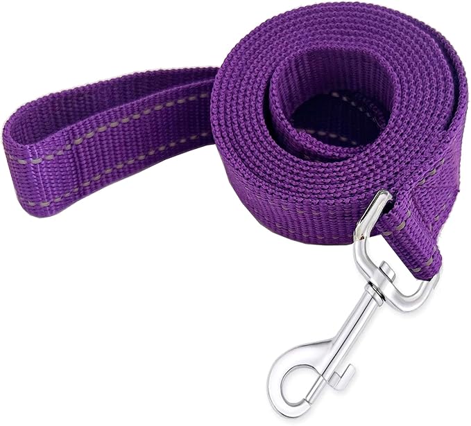 Reflective Dog Leash 4Ft /6 Feet Long, 3/4 Inch Wide, for Small and Medium Dogs