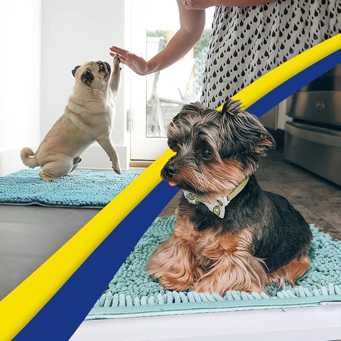 Muddy Mat® Original Dog Door Mat for Muddy Paws, Super Absorbent Microfiber, Non-Slip Washable Pet Rug, Quick Dry Chenille Entryway Carpet, Machine Washable Indoor Outdoor mat, Seafoam Green 48"x72"