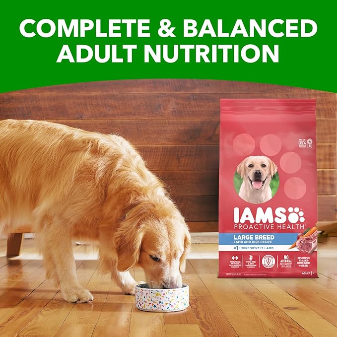 IAMS Proactive Health Large Breed Adult Dry Dog Food Lamb & Rice Recipe, 30 lb. Bag