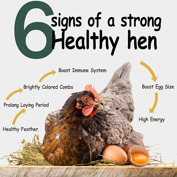 10LB Dried Black Soldier Fly Larvae for Chickens - Non-GMO Insect Larvae Treats More Calcium Than Mealworms, High Protein Chicken Feed for Backyard Poultry - BSFL, Bird Food, Chicken Worms