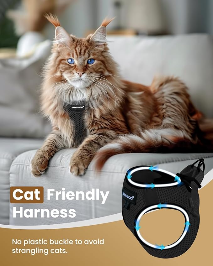 FAYOGOO Cat Harness, Cat Leash and Harness Set for Walking Escape Proof, Harness for Small Cats/Small Dogs, Large Kitten/Puppy Harness and Leash, Harness for Cats S-XXL(Black, XX-Large)