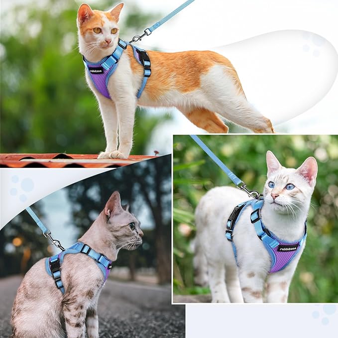 rabbitgoo Cat Harness and Leash Set, Escape Proof Soft Adjustable Vest Harnesses for Outdoor Walking, Easy Control Breathable Kitten Jacket with Reflective Strips, Purple & Blue, S