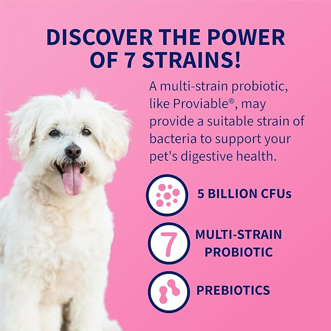 Nutramax Proviable Probiotics for Dogs and Cats, Daily Digestive Health Supplement with Multiple Strains of Bacteria, Cat and Dog Probiotics Plus Prebiotics, 80 Capsules
