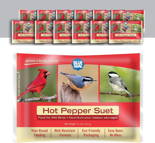 Blue Seal Hot Pepper Suet Cakes for Wild Birds | No Mess Suet Feed with Cracked Corn | Food for Woodpeckers, Cardinals, Siskins & Sparrows | Use with Suet Feeder | 11oz Seed Cake (12 Pack)