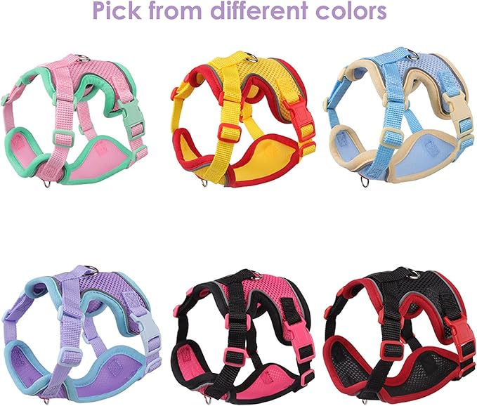 Cat Harness and Leash Set for Walking – Escape-Proof Reflective Vest for Cats and Small Dogs, Adjustable Soft Air Mesh with Pressure-Reducing Design, 4.92ft (Blue & Purple, L)