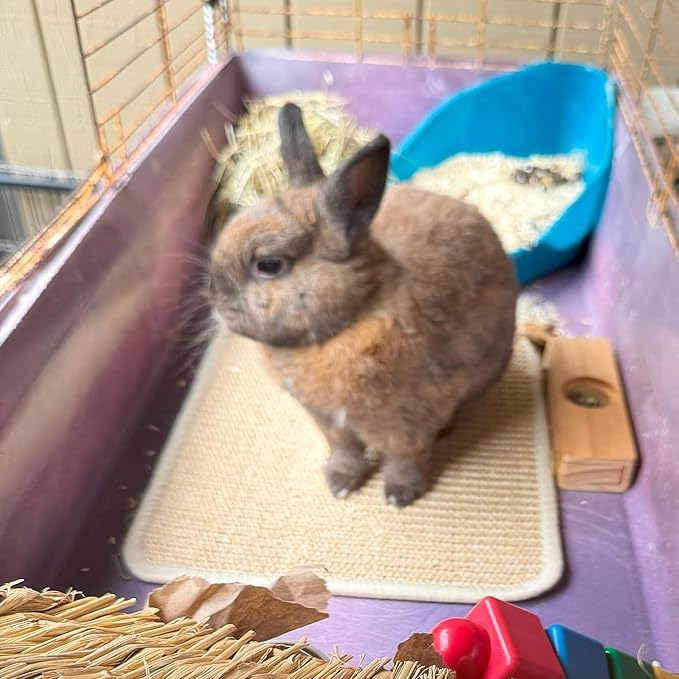 PODOO Bunny Scratch Pads, Sisal Rabbit Scratching Pad, Natural Rabbit Resting Mats for Cages, Forage Grass Mat Indoor Essentials Accessories for Guinea Pig Cat (4Pcs, 23.6 x 15.7 inches)