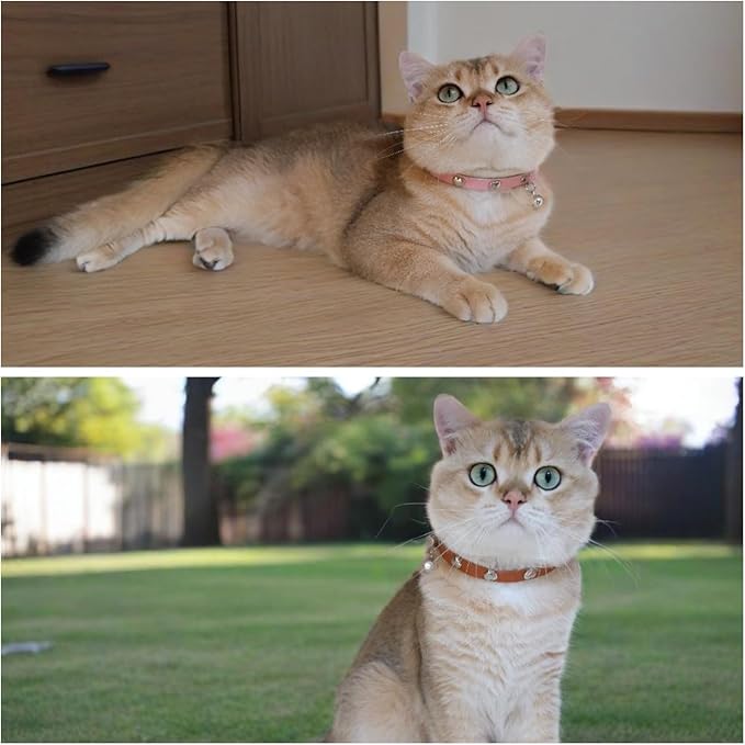 Spiked Cat Collar with Bells, Breakaway Genuine Leather Protective Collar for Kitty, Studs Spikes Punk Style, Heart Pattern, Adjustable for Girl Boy Kittens Small Bunny Rabbit, 10"-12" Pink