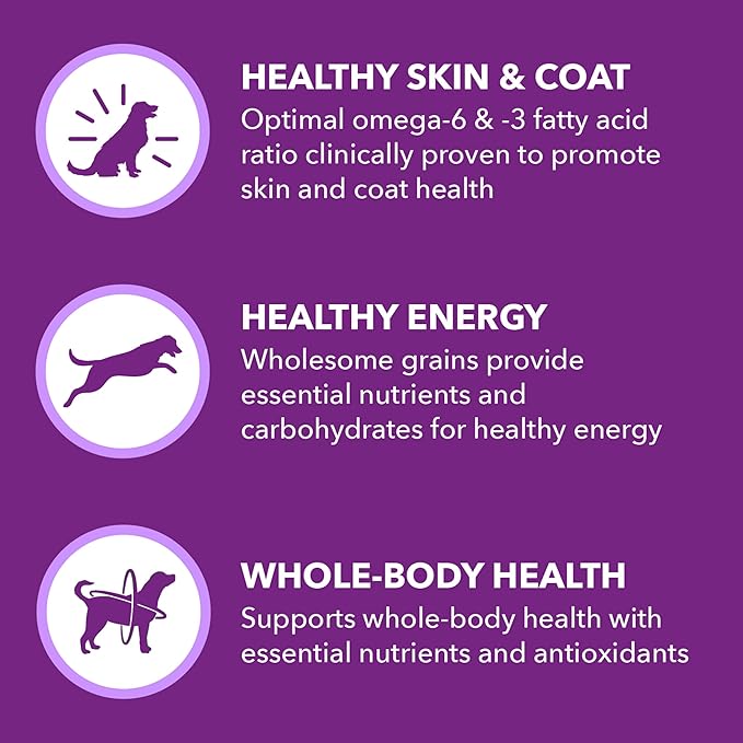 IAMS Advanced Health Skin & Coat Adult Dry Dog Food Chicken and Salmon Recipe, 36 lb. Bag