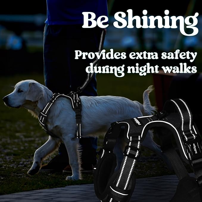 rabbitgoo Dog Harness for Large, No Pull Pet Harness with 3 Buckles, Adjustable Soft Padded Vest with Control Handle, Walking Reflective Pet Vest for Large Dogs, Black, L