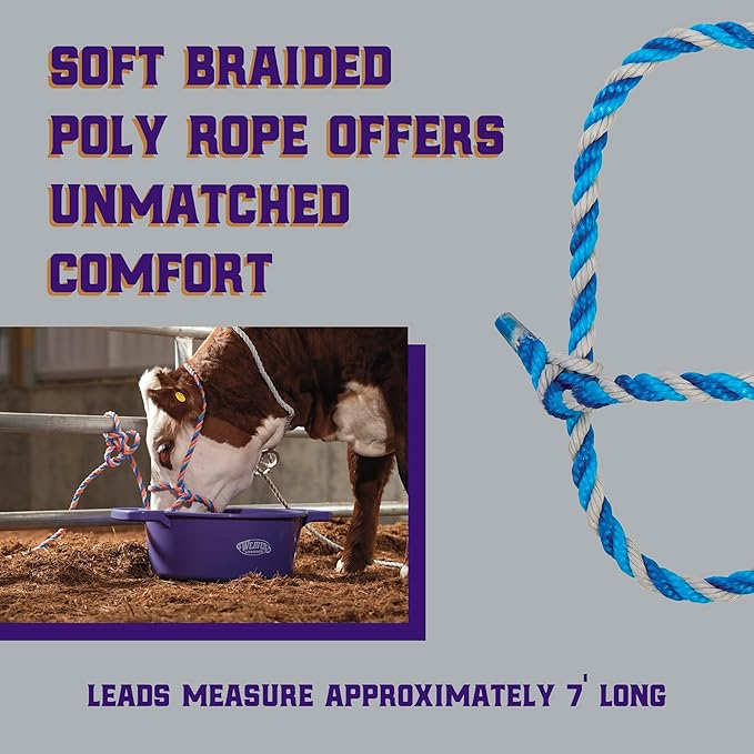 Weaver Leather Livestock Cattle Poly Rope Halter Dark Blue/Turquoise/Gray