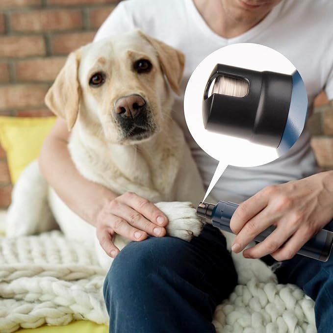 Pet Nail Grinder for Dogs - Quiet 2-Speed Type-C Rechargeable Dog Nail Trimmer, Low Noise Paw Grooming for Dogs & Cats (Blue)