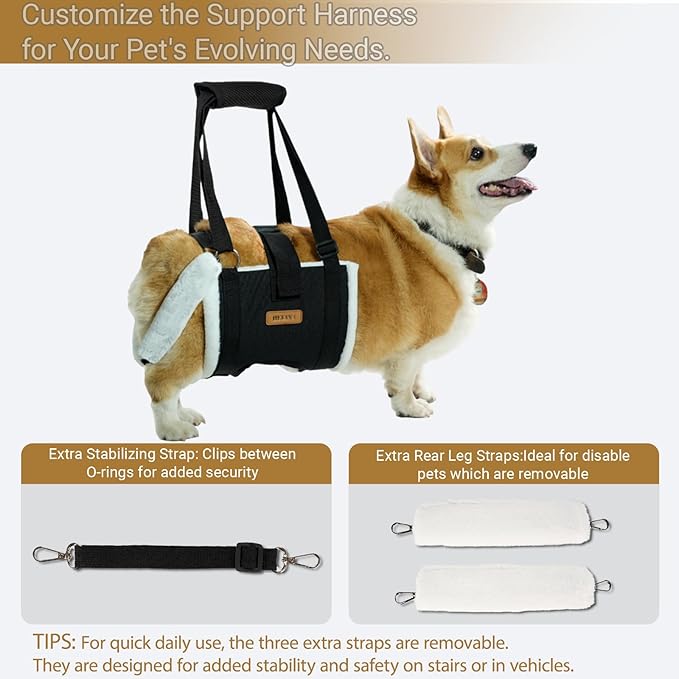 Dog Lift Harness Sling for Large Dogs - Adjustable Rear Leg Support with Padding & No-Slip Back Fixed Buckle, Hip Dysplasia/ACL/TPLO Surgery Recovery Aid, Dog Harness for Injured,Disabled/Senior Dogs