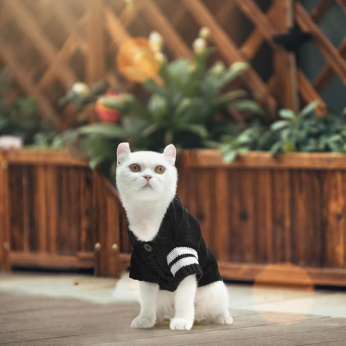 EXPAWLORER Cat Sweater Cardigan - Stylish Knitted Cat Clothes, British Style Soft Puppy Sweater with Sleeve Warm Pet Clothing Knitwear, Fall and Winter Kitten Coat for Girl Boy Cats, Black Medium