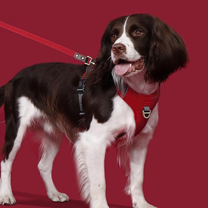 No Pull Dog Harness Small Sized Dog,Stylish PU Leather Vest with Easy Control Handle,No Choke Front Clip with 2 Metal Leash Clips,Reflective & Adjustable for Walking,Red,Chest 19-24"