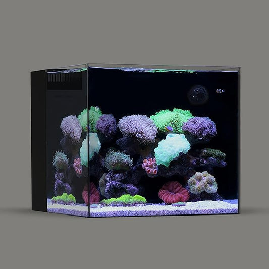 Landen 45P 20 Gallon Ultra Clear All Glass Rimless Low Iron Aquarium Tank with Rear Filtration Chamber(Return Pump Included)for Salt and Fresh Water.17.7''Wx17.7''Dx15.8''H in(45x45x40cm)6mm Thickness